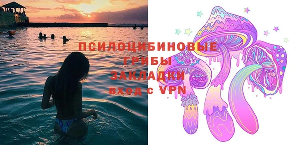 PSILOCYBIN Богданович